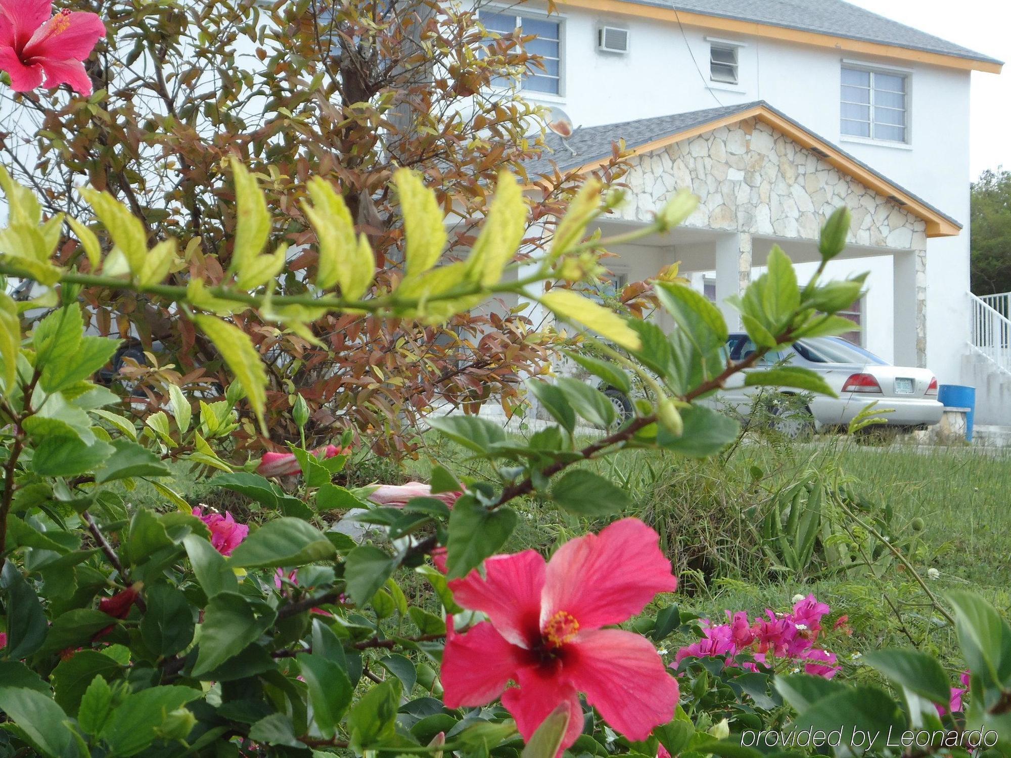 奥兰治河公寓式酒店 Orange Creek 外观 照片